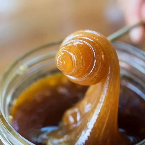 新北市農會真情食品館_竹柏苑原味麥芽膏(600g/罐)