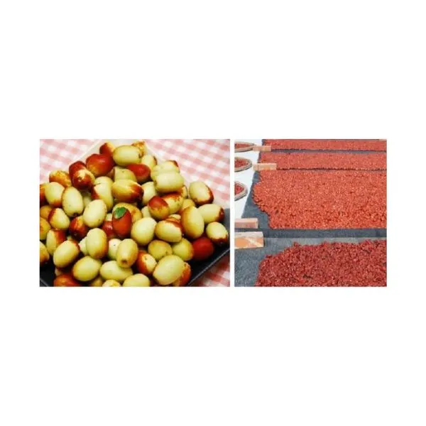 新北市農會真情食品館_公館紅棗養生茶(3gx20入)