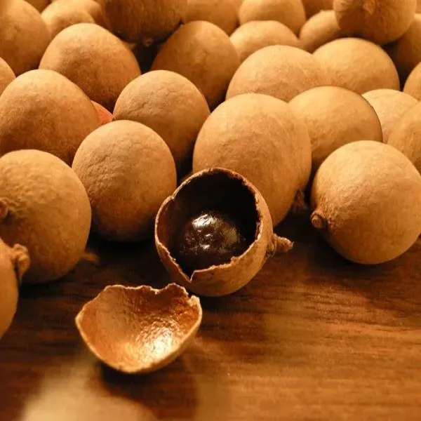 新北市農會真情食品館_南化手工龍眼肉(300g)