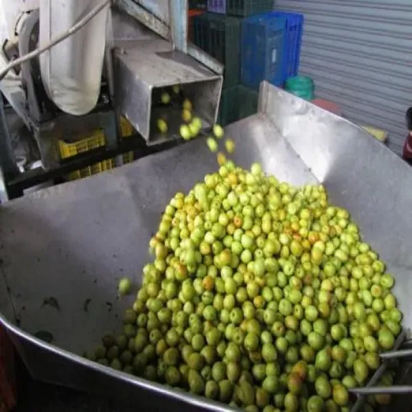 新北市農會真情食品館_晨軒-純梅粉(180g)