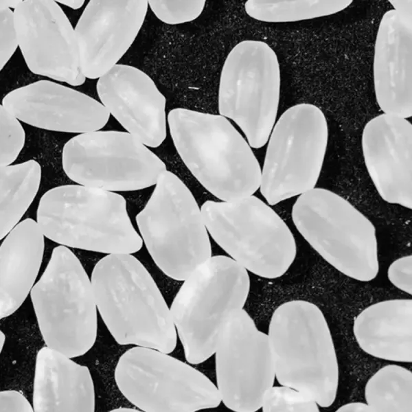 新北市農會真情食品館_斗南町-斗南町越光米(1公斤/包)★CAS★