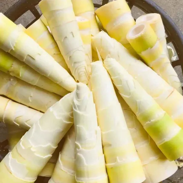 新北市農會真情食品館_筍友部落-鮮脆筍絲酸辣湯