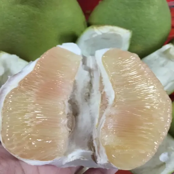 新北市農會真情食品館_(2盒)麻豆農會-優級麻豆文旦10斤