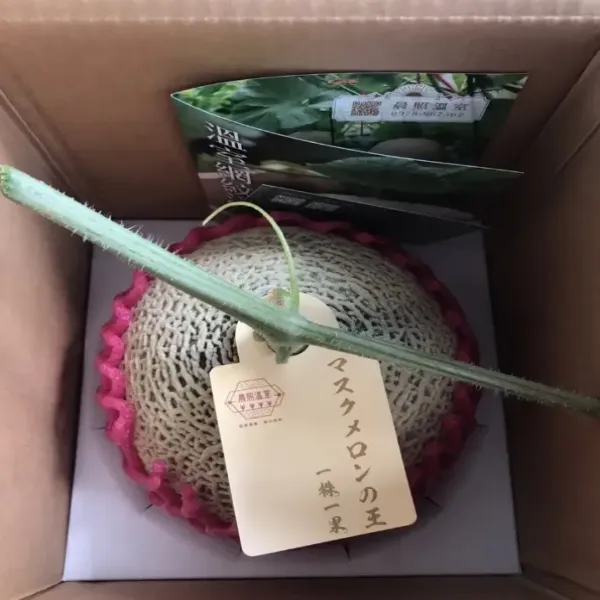 新北市農會真情食品館_【晨照農場】阿露斯洋香瓜手提單入(3台斤)禮盒★產銷履歷★