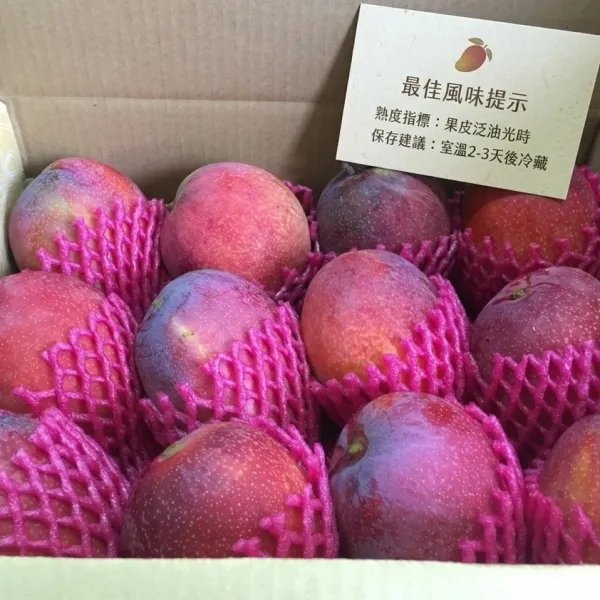 新北市農會真情食品館_芳興莊園-愛文芒果外銷頂級5台斤小果(13-16顆)