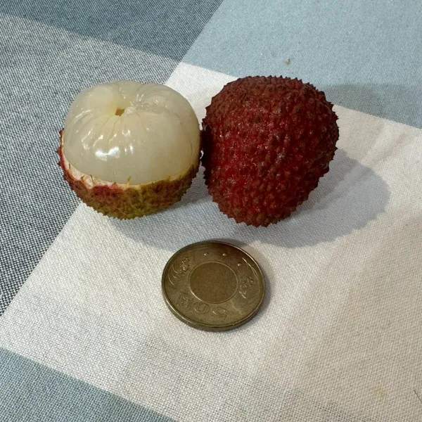 新北市農會真情食品館_(生產追溯)百大青農黃大哥-大樹頂級玉荷包3台斤(粒裝)