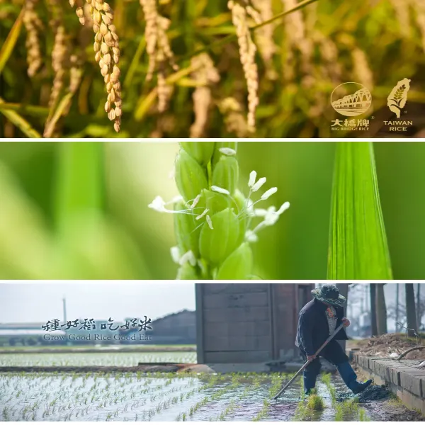 新北市農會真情食品館_大橋-CAS頂級越光米(1.5kg)★產銷履歷★