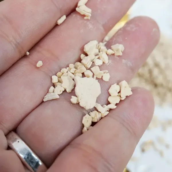 新北市農會真情食品館_荷鄉-100%純手工蓮藕粉(190g/瓶)