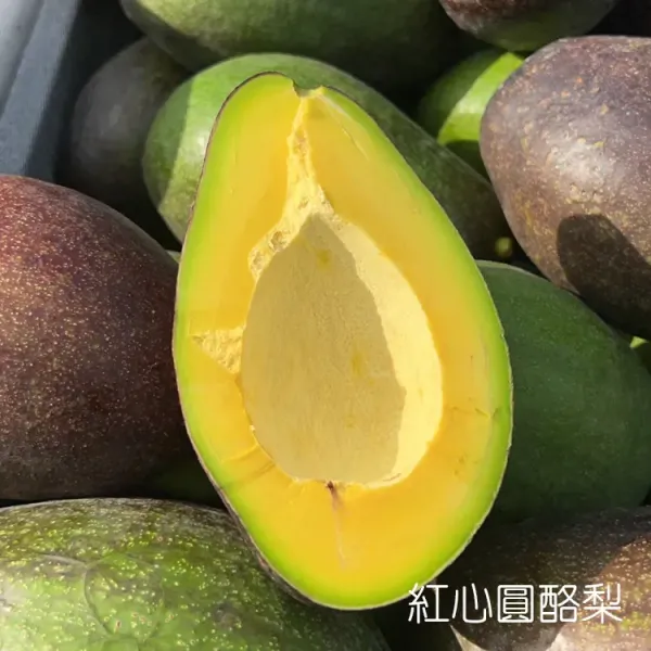 新北市農會真情食品館_屏東青農酪梨(7台斤)★生產追溯★加林及紅心圓混搭