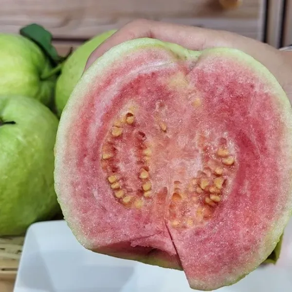 新北市農會真情食品館_社頭陳家冠軍紅心芭樂5台斤(6-8顆)★產銷履歷★