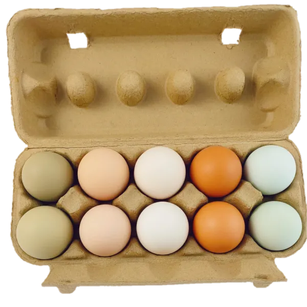 新北市農會真情食品館_御品園放牧雞蛋禮盒特惠組