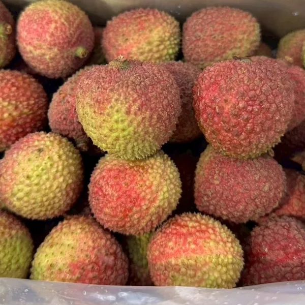 新北市農會真情食品館_(生產追溯)百大青農黃大哥-大樹頂級玉荷包3台斤(粒裝)