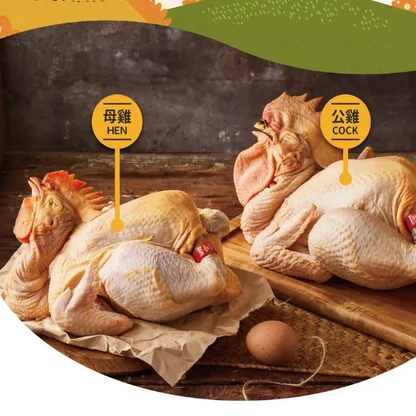 新北市農會真情食品館_金緗雞-全雞(公+母)煲湯★吃玉米長大的雞★