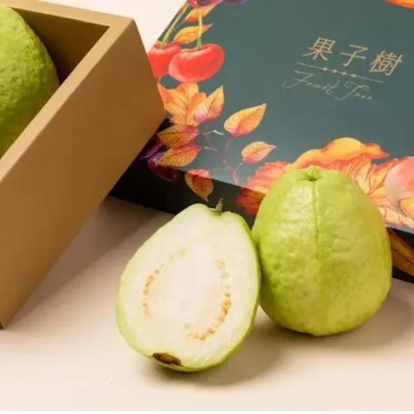 新北市農會真情食品館_【綠創】珍珠芭樂5台斤(6-8顆)★381項農檢合格★高雄首選★