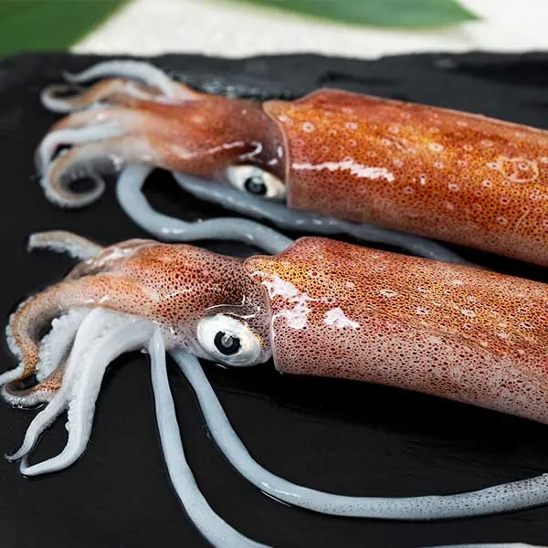 新北市農會真情食品館_活凍透抽(500g)