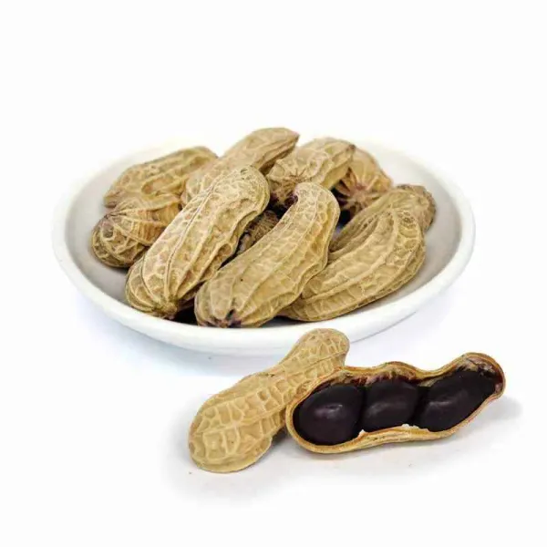 新北市農會真情食品館_北港黑金剛花生(500g)