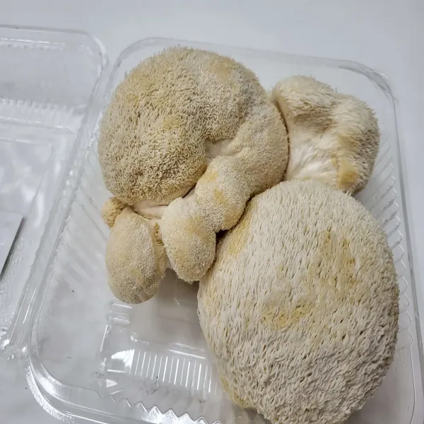 新北市農會真情食品館_有機新鮮猴頭菇(300g x6盒)