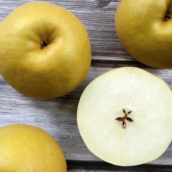 新北市農會真情食品館_2025台中冠軍寶島甘露梨(45-40兩)1顆