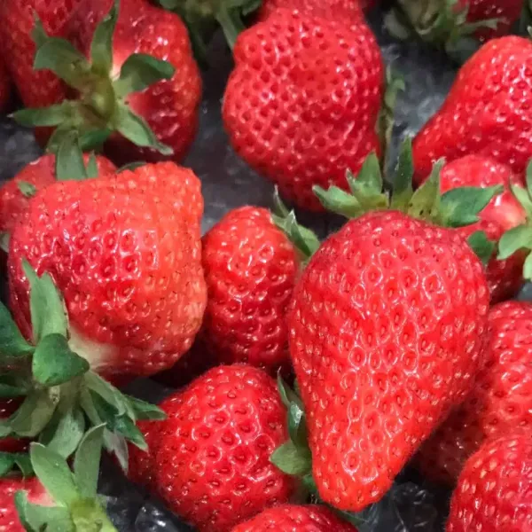 新北市農會真情食品館_天藍果園-大湖草莓(12顆)