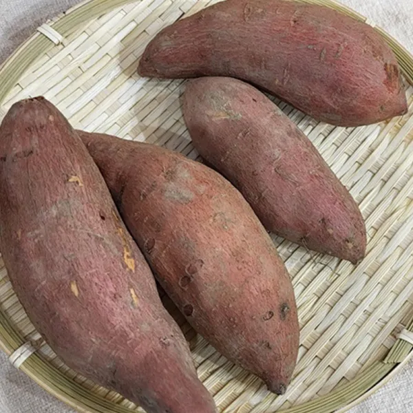 新北市農會真情食品館_66號地瓜/番薯(5公斤)★產銷履歷★