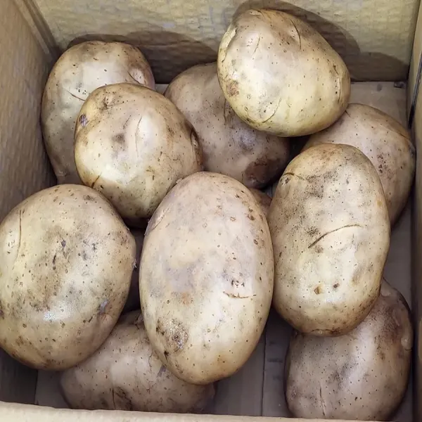新北市農會真情食品館_斗南在地鮮採【馬鈴薯】(5台斤)