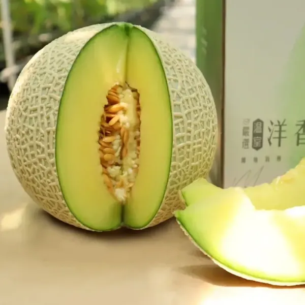 新北市農會真情食品館_【晨照農場】阿露斯洋香瓜手提單入(3台斤)禮盒★產銷履歷★