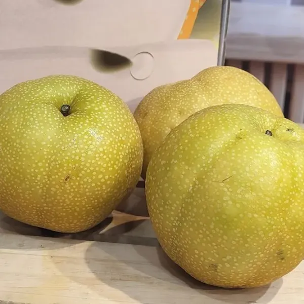 新北市農會真情食品館_卓蘭-褚譽豐水梨7台斤(10粒裝)精緻禮盒