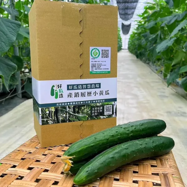 新北市農會真情食品館_【好瓜造】履歷小黃瓜-3台斤