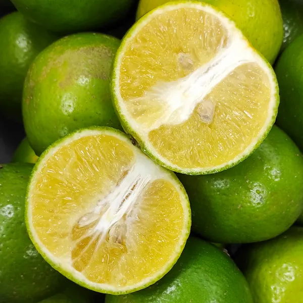 新北市農會真情食品館_褚譽帝王柑10斤★含運組★