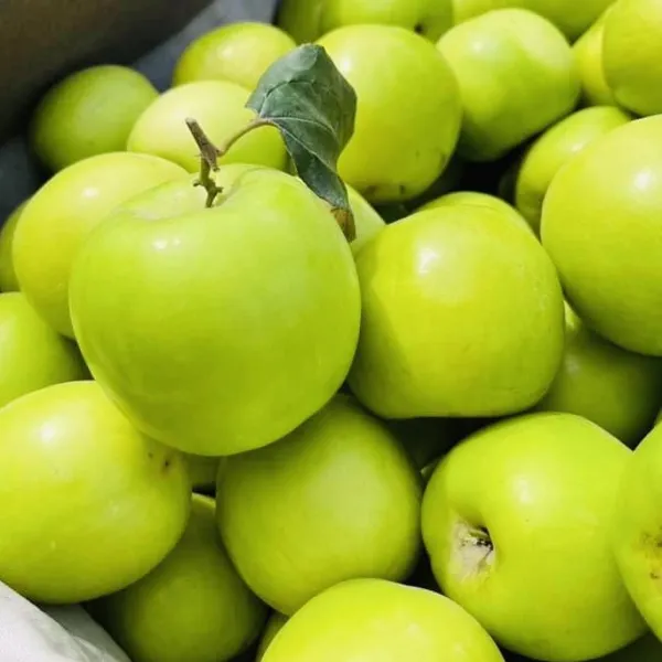 新北市農會真情食品館_(4盒)大社精品級珍蜜棗5斤20粒(高雄11號)