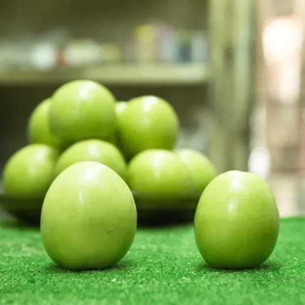 新北市農會真情食品館_大社珍愛總統級蜜棗(5斤/18粒)