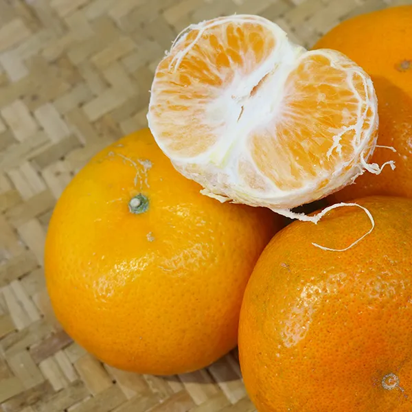 新北市農會真情食品館_(2箱)茂谷柑(25A6斤/16-18粒)★產銷履歷★