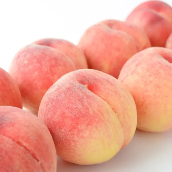 新北市農會真情食品館_梨山水蜜桃(10粒)