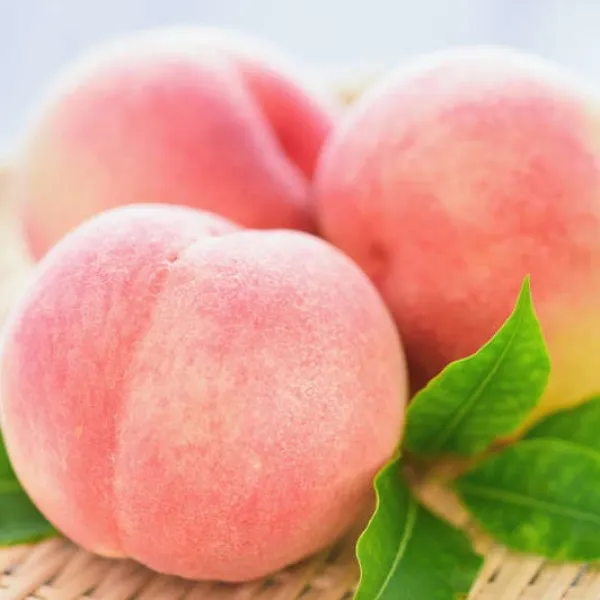 新北市農會真情食品館_梨山水蜜桃(8粒X2盒)