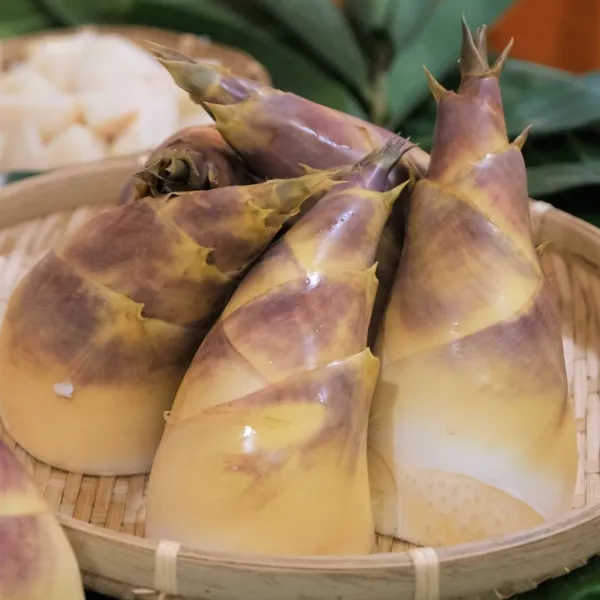 新北市農會真情食品館_阿財優級綠竹筍5斤★生產追溯★