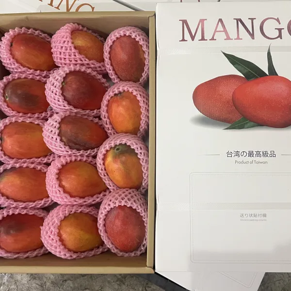 新北市農會真情食品館_【2026空運直送日本】台灣愛文芒果5公斤(8-14粒)