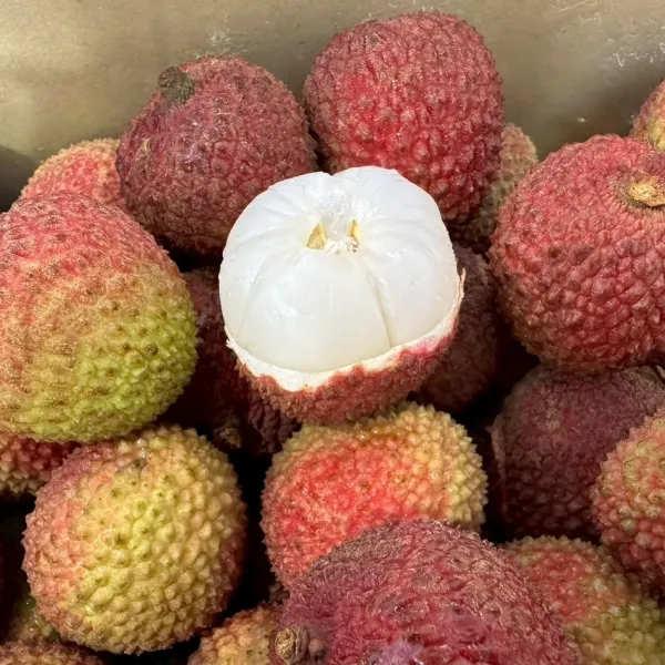 新北市農會真情食品館_(生產追溯)百大青農黃大哥-大樹頂級玉荷包3台斤(粒裝)